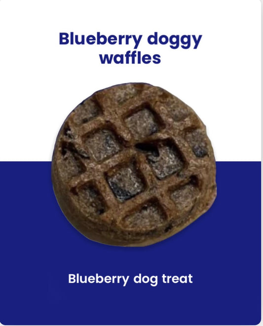 Bluberry Doggy Waffles