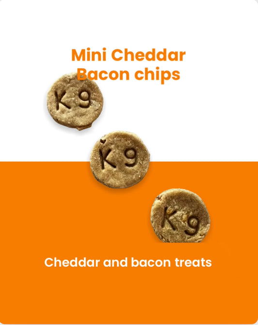 Mini Cheddar Bacon Chips